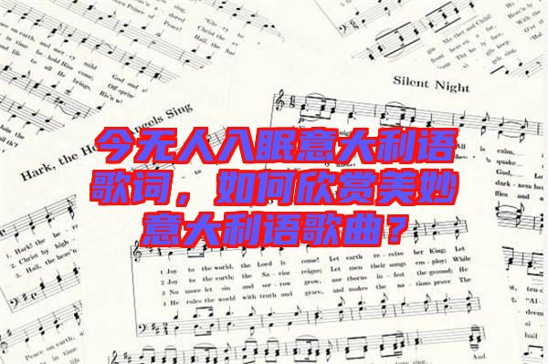 今無人入眠意大利語歌詞，如何欣賞美妙意大利語歌曲？