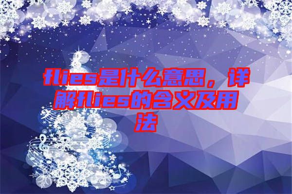 flies是什么意思，詳解flies的含義及用法