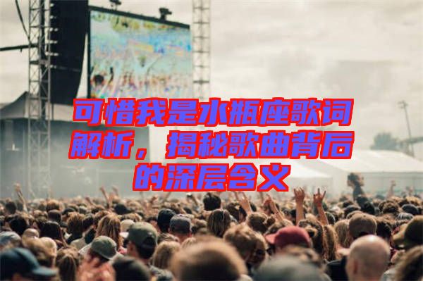 可惜我是水瓶座歌詞解析，揭秘歌曲背后的深層含義