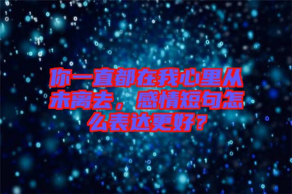 你一直都在我心里從未離去，感情短句怎么表達更好？