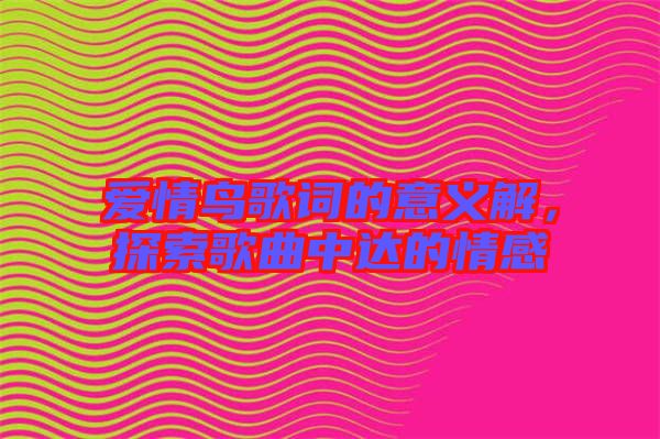 愛情鳥歌詞的意義解，探索歌曲中達的情感