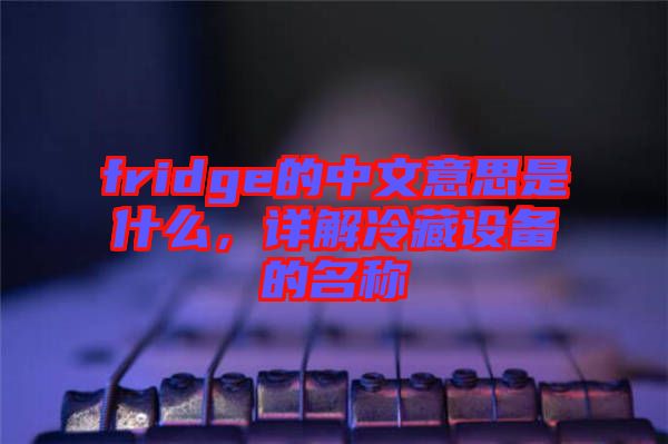 fridge的中文意思是什么，詳解冷藏設(shè)備的名稱