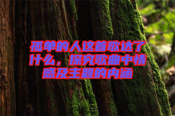 孤單的人這首歌達(dá)了什么，探究歌曲中情感及主題的內(nèi)涵