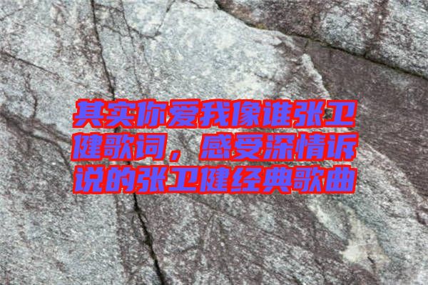 其實(shí)你愛(ài)我像誰(shuí)張衛(wèi)健歌詞，感受深情訴說(shuō)的張衛(wèi)健經(jīng)典歌曲