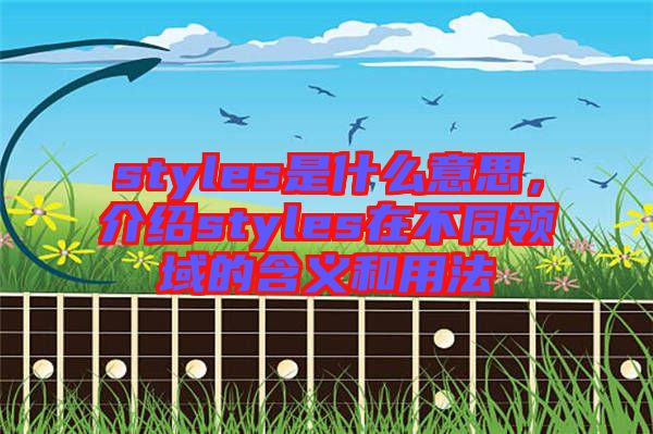 styles是什么意思，介紹styles在不同領(lǐng)域的含義和用法