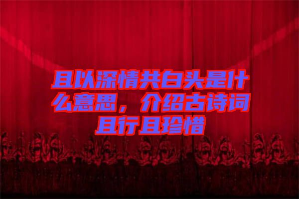 且以深情共白頭是什么意思，介紹古詩(shī)詞且行且珍惜