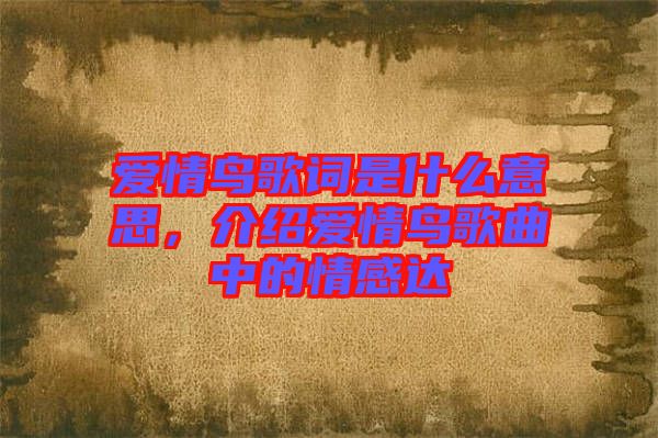 愛情鳥歌詞是什么意思，介紹愛情鳥歌曲中的情感達(dá)