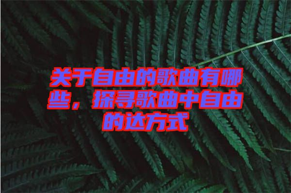 關(guān)于自由的歌曲有哪些，探尋歌曲中自由的達方式