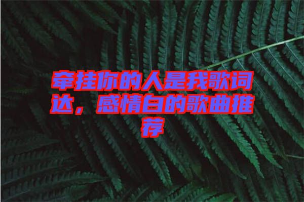 牽掛你的人是我歌詞達(dá)，感情白的歌曲推薦