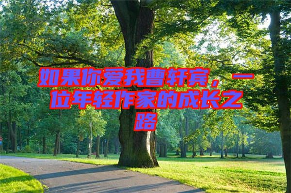 如果你愛我曹軒賓，一位年輕作家的成長之路