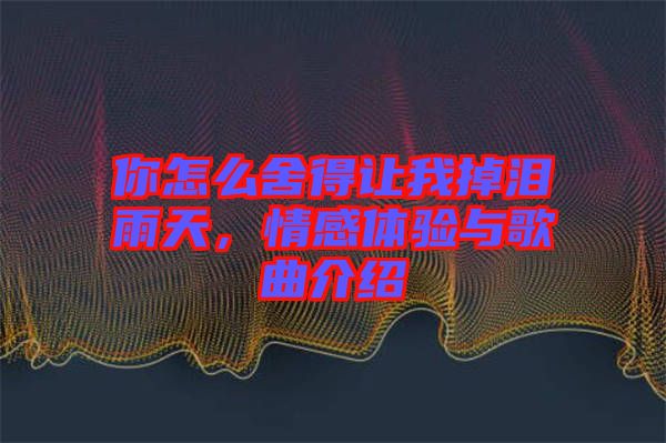 你怎么舍得讓我掉淚雨天，情感體驗(yàn)與歌曲介紹