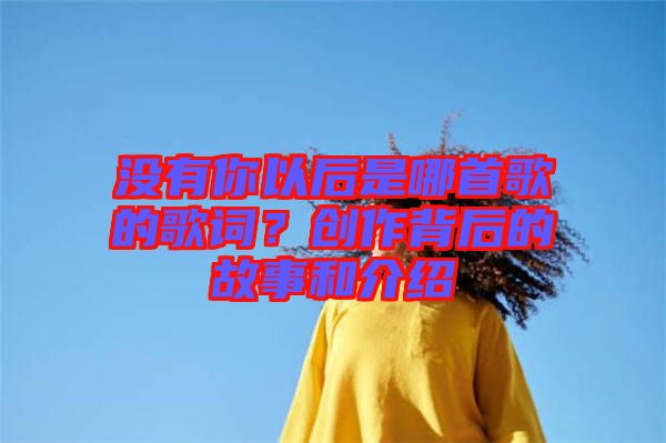 沒有你以后是哪首歌的歌詞？創(chuàng)作背后的故事和介紹