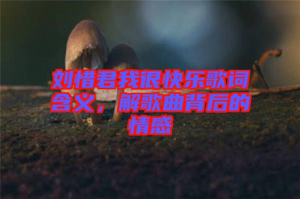 劉惜君我很快樂歌詞含義，解歌曲背后的情感