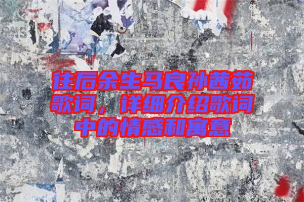 往后余生馬良孫茜茹歌詞，詳細(xì)介紹歌詞中的情感和寓意