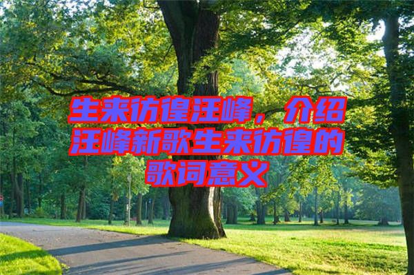 生來彷徨汪峰，介紹汪峰新歌生來彷徨的歌詞意義