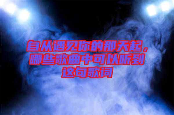 自從遇見你的那天起，哪些歌曲中可以聽到這句歌詞