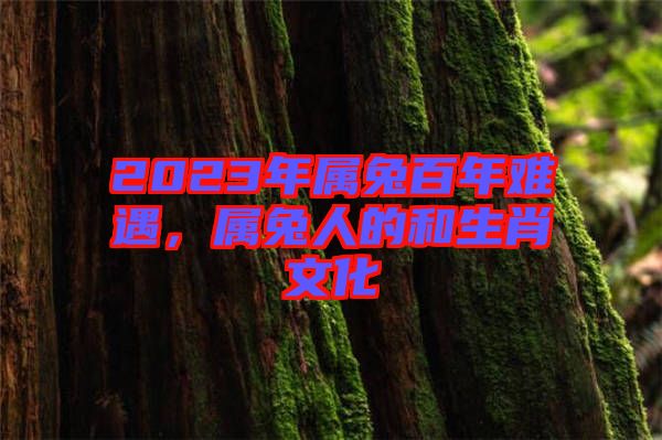 2023年屬兔百年難遇，屬兔人的和生肖文化