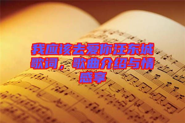 我應該去愛你汪東城歌詞，歌曲介紹與情感享