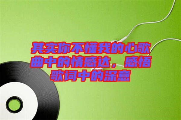 其實(shí)你不懂我的心歌曲中的情感達(dá)，感悟歌詞中的深意