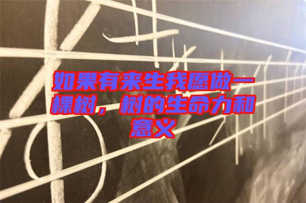 如果有來(lái)生我愿做一棵樹(shù)，樹(shù)的生命力和意義