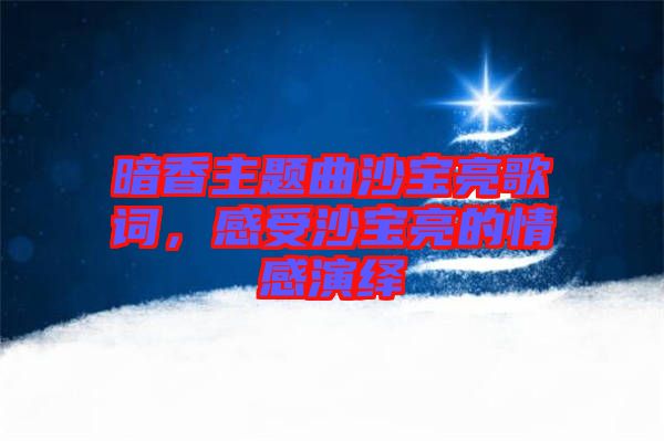 暗香主題曲沙寶亮歌詞，感受沙寶亮的情感演繹