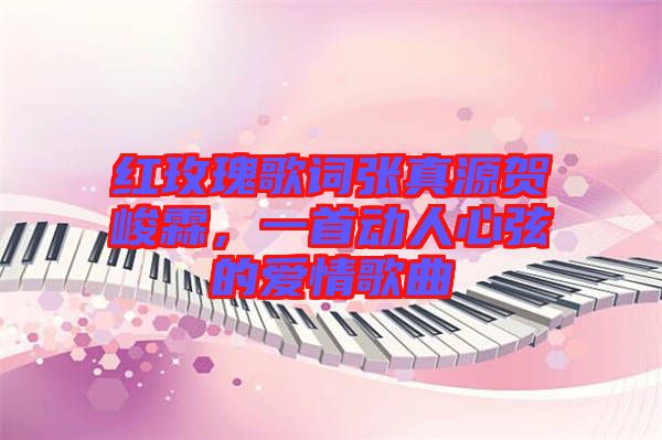 紅玫瑰歌詞張真源賀峻霖，一首動(dòng)人心弦的愛(ài)情歌曲