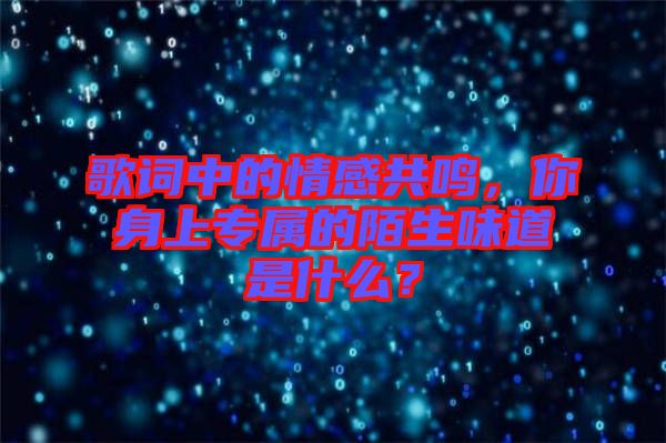 歌詞中的情感共鳴，你身上專屬的陌生味道是什么？