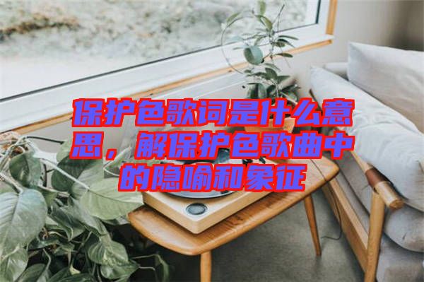 保護(hù)色歌詞是什么意思，解保護(hù)色歌曲中的隱喻和象征