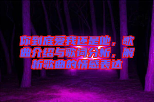 你到底愛我還是他，歌曲介紹與歌詞分析，解析歌曲的情感表達(dá)