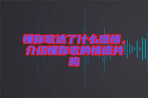 懂你歌達了什么感情，介紹懂你歌的情感共鳴