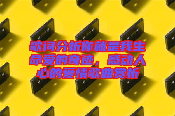 歌詞分析你就是我生命愛的奇跡，感動人心的愛情歌曲賞析