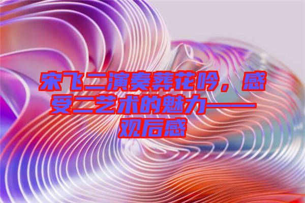 宋飛二演奏葬花吟，感受二藝術(shù)的魅力——觀后感