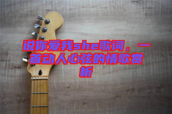 說你愛我she歌詞，一首動人心弦的情歌賞析