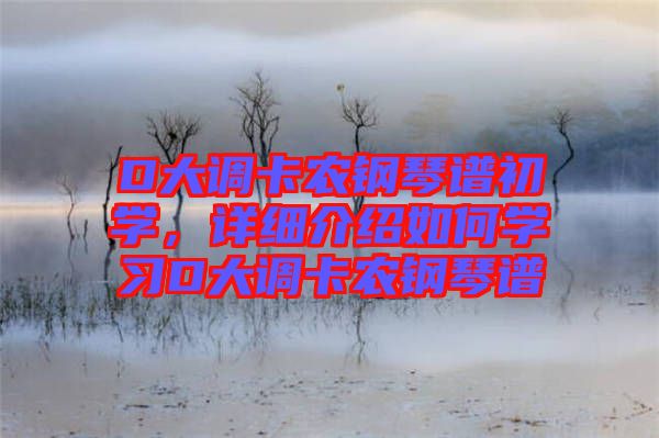 D大調(diào)卡農(nóng)鋼琴譜初學(xué)，詳細(xì)介紹如何學(xué)習(xí)D大調(diào)卡農(nóng)鋼琴譜