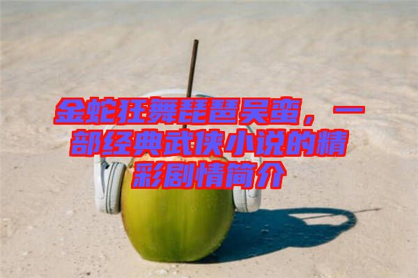 金蛇狂舞琵琶吳蠻，一部經(jīng)典武俠小說的精彩劇情簡介