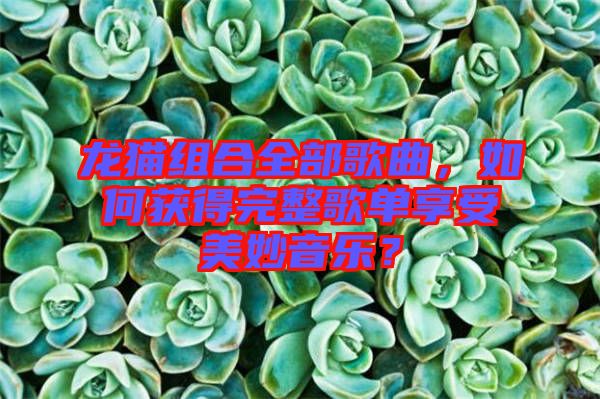 龍貓組合全部歌曲，如何獲得完整歌單享受美妙音樂(lè)？