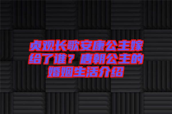 貞觀長(zhǎng)歌安康公主嫁給了誰(shuí)？唐朝公主的婚姻生活介紹