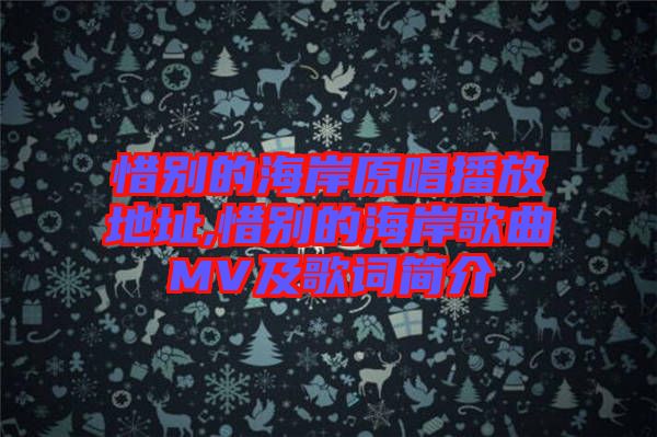 惜別的海岸原唱播放地址,惜別的海岸歌曲MV及歌詞簡(jiǎn)介