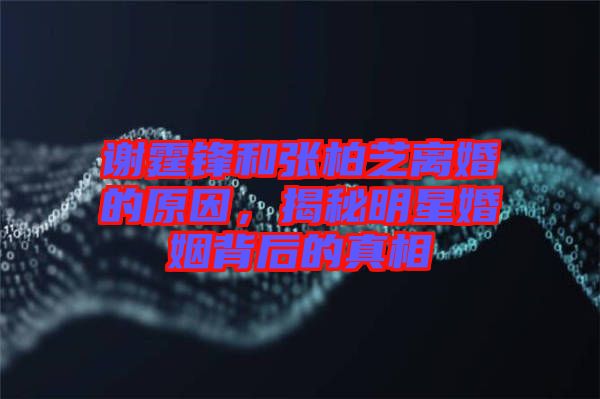 謝霆鋒和張柏芝離婚的原因，揭秘明星婚姻背后的真相