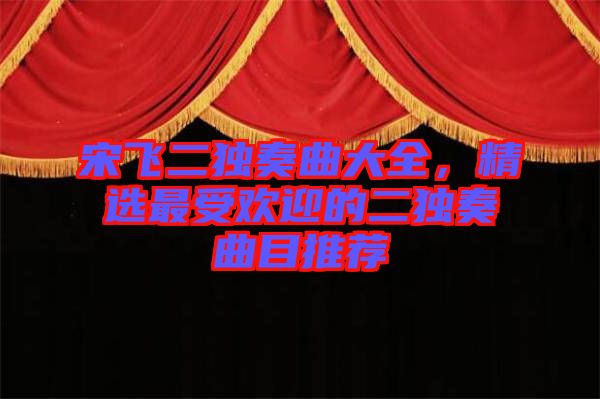 宋飛二獨(dú)奏曲大全，精選最受歡迎的二獨(dú)奏曲目推薦