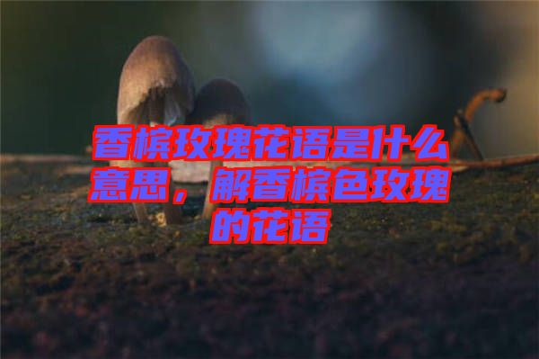 香檳玫瑰花語(yǔ)是什么意思，解香檳色玫瑰的花語(yǔ)