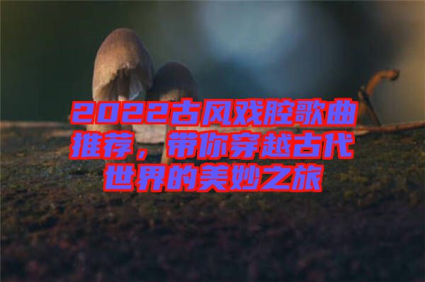 2022古風(fēng)戲腔歌曲推薦，帶你穿越古代世界的美妙之旅