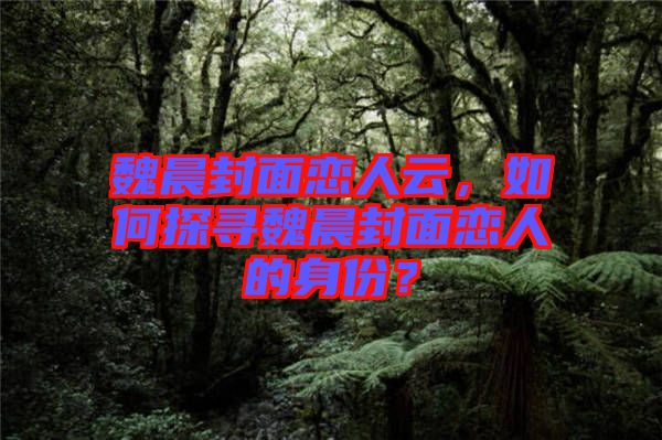 魏晨封面戀人云，如何探尋魏晨封面戀人的身份？