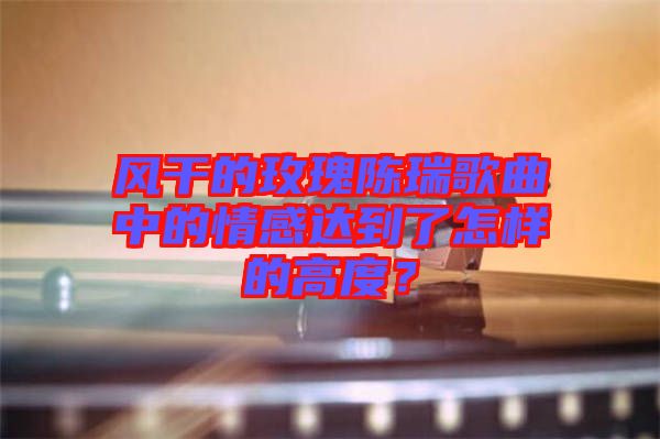 風干的玫瑰陳瑞歌曲中的情感達到了怎樣的高度？