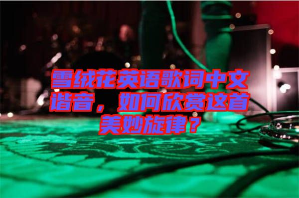 雪絨花英語歌詞中文諧音，如何欣賞這首美妙旋律？