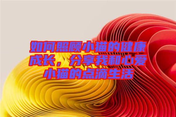 如何照顧小貓的健康成長，分享我和心愛小貓的點滴生活