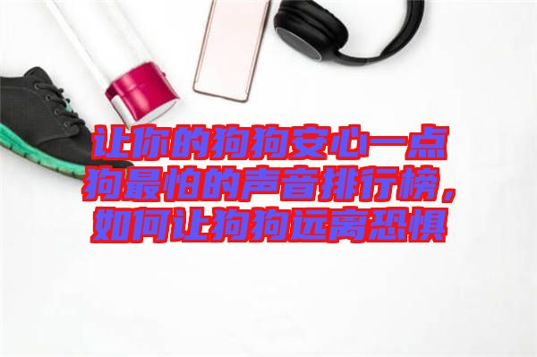 讓你的狗狗安心一點狗最怕的聲音排行榜，如何讓狗狗遠離恐懼