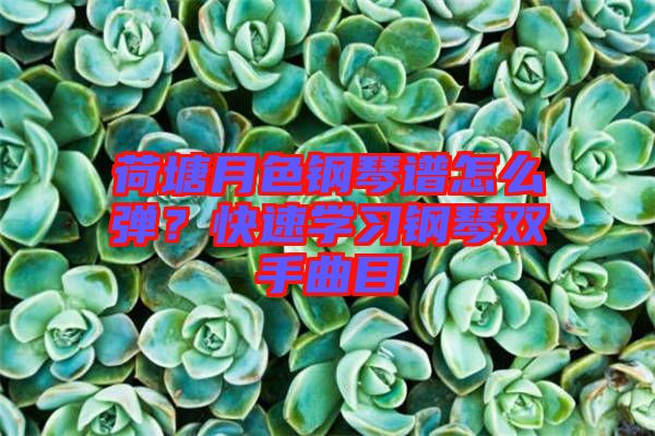 荷塘月色鋼琴譜怎么彈？快速學(xué)習(xí)鋼琴雙手曲目