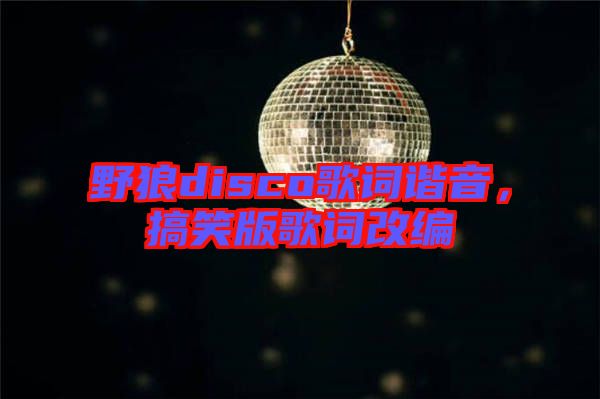 野狼disco歌詞諧音，搞笑版歌詞改編