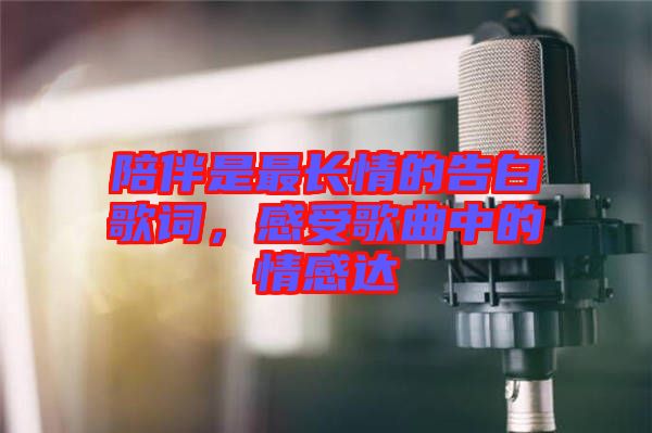 陪伴是最長情的告白歌詞，感受歌曲中的情感達